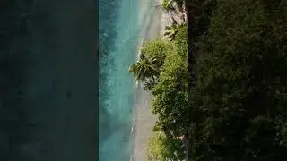 Visit Seychelles... Another World | #seychellesislands #shorts