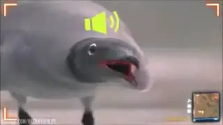 ВОЙС ЧАТ В КС ГО