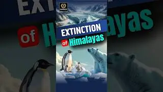 Extinction of Himalayas | 3rd Pole of the Earth | 