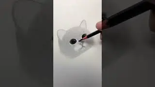 how to draw cat #cat #draw #art #artist #drawing #catlover #realstic #kartikeya6202