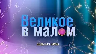 Великое в малом. Наука в инновационных система