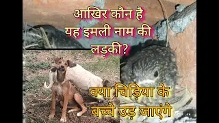 #cute#desidogs #shorts#dogvideos#funny#doglover#trending#animlasfunny#Sandycandy#indian#street#dog