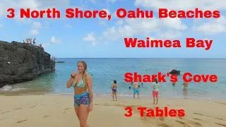 3 of North Shore, Oahu Beaches in 4K HD