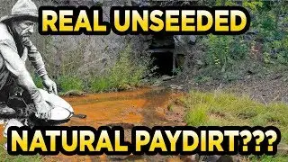 Whiskey_Petes_Gold (eBay) 5lb Bag Gold Paydirt Review 
