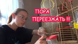 VLOG Новоселье в новом доме