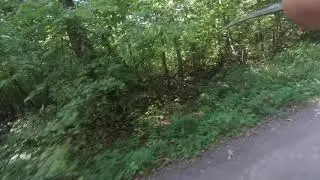 Уколы и рубка при езде верхом.