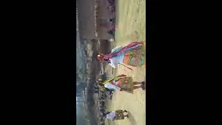 PALLAS DE SINGA-2019