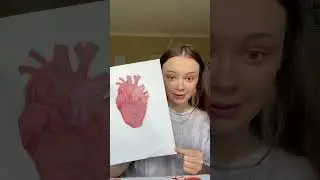 My drawings 🤯 