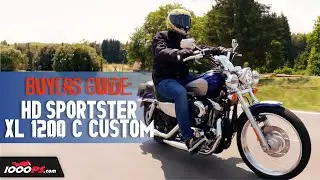 Used Harley Davidson Sportster XL 1200 C Custom buyer's guide
