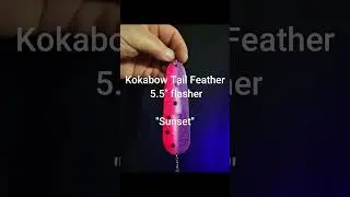 UV Test - Kokabow Tail Feather Kokanee Blade - Sunset - Available at www.kokabow.com