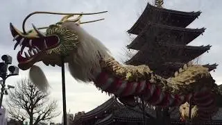 Asakusa Golden Dragon Dance