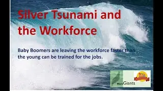 Silver Tsunami and the baby boomer generation. Skills lost, and not enough workers.