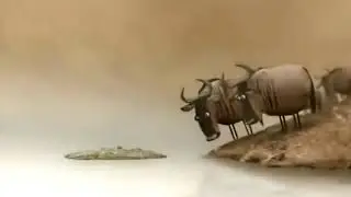 Смишной мультик