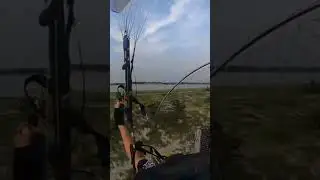 Fly