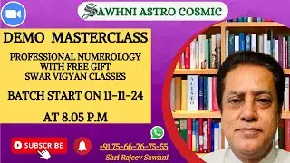 PROFESSIONAL NUMEROLOGY