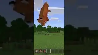 Hungry Fox wants chicken #minecraft #minecraftshorts #short Minecraft