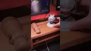 Is This Your Dreaming E-sports room?