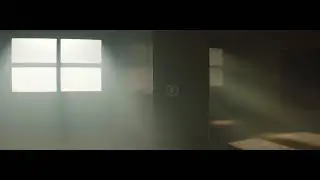 PLN -L' AMMONIAQUE 2018