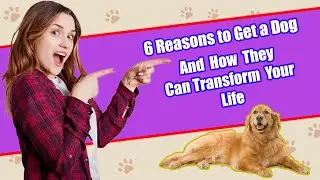 6 Reasons To Get A  Dog And How They Can Transform Your Life