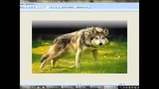 Tipos de formatos de imagen