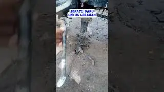 sambung standar motor #bengkelmotor