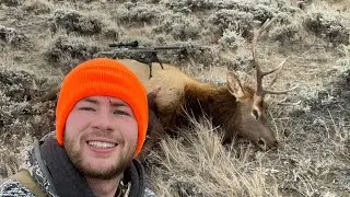 Wyoming Late Season Elk Kill Shot
