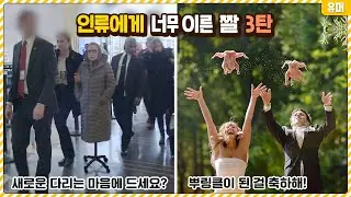 아직 인류가 받아들일 준비가 안된 짤들 3탄ㅋㅋㅋㅋㅋㅋㅋㅋㅋㅋㅋ