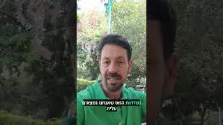 איך נתנהל מבחינה מיסויית בין גיל 60 לגיל 67 בפרישה מוקדמת?