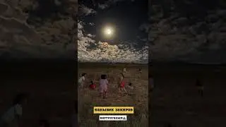 1 ноября 2023 г.