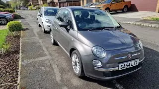 Is This Fiat 500 A Cat Car? BCA Isn't Sure