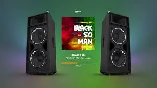Blacky 2K -- HOMMAGE à BLACK SO MAN