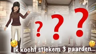 Ik heb STIEKEM DRIE paarden GEKOCHT! 😌 + TIPS voor PIONIERSPAD || SSO update #69 || Lisa Wiseplate