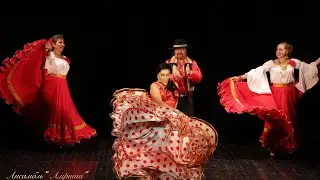 Шашкова Екатерина и Ансамбль Амрита ! Цыганский танец .