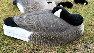 Bigfoot Sleeper shell vs  Higdon Sleeper shell, Canada goose decoy overview comparison