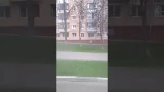 скорая или буханка советская?