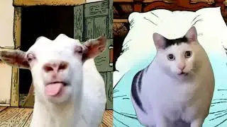 huh?