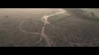 Canadian Fire Haze