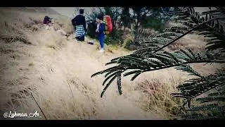 PETUALANGAN DI MT.PRAU MPDL 2.565