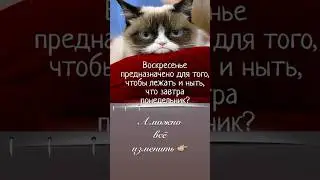 #воскресенье #работа