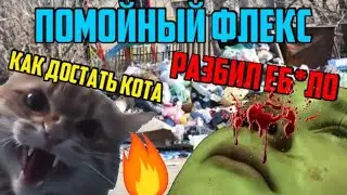 РАЗБИЛ ЕБ*ЛО,ПОМОЙНЫЙ ФЛЕКС,КАК ДОСТАТЬ КОТА? [lifestyle]