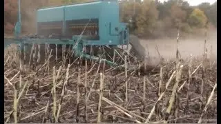 Seeder Bereguinia AP-421
