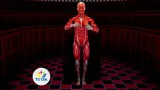 ¿Te hace falta calcio? - Bienestar y salud