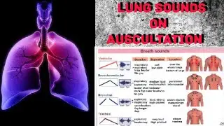 LUNGS SOUND ON AUSCULTATION #made_easy , TYPES OF LUNG SOUND AND CAUSES