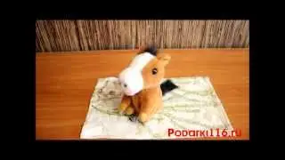 Лошадка-повторюшка. Повторяет на всех языках )))