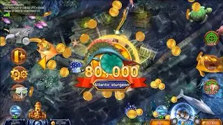 Alligator 80K (200 Bet) Jabplay