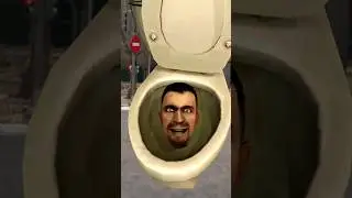skidipapap toilet