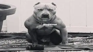 ✵ Дядя Билли ✵