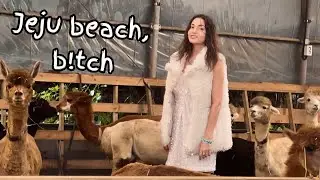 Jeju beach, b!tch !