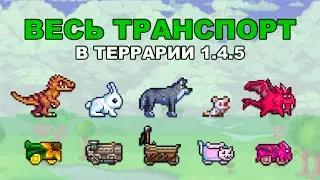 All Types of Mounts and Minecarts in Terraria 1.4.5