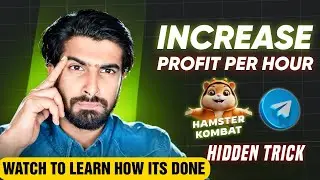 HOW TO INCREASE YOUR PROFIT PER HOUR ON HAMSTER KOMBAT